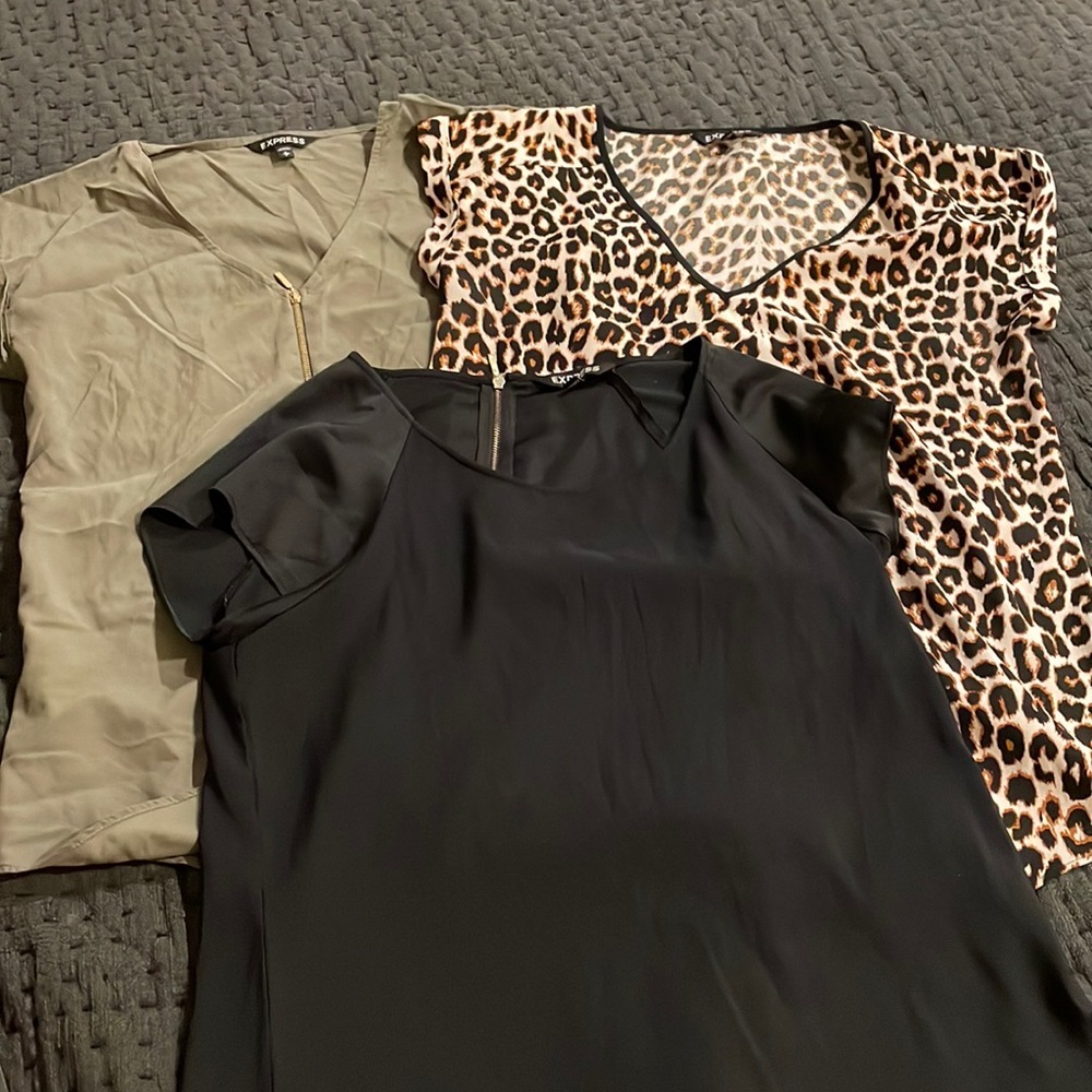 Express Bundle - 3 silk blouses